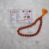 5 Mukhi Rudraksh Mala 27 Beads Indonesia Navgraha Certified - Navgraha - Image 4