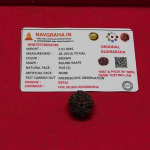 5 Mukhi Rudraksha Nepal Navgraha Certified - Navgraha