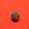 5 Mukhi Rudraksha Nepal Navgraha Certified - Navgraha - Image 2