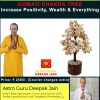 Gomati Chakra Vastu Tree | Attract Prosperity & Positive Energies – Navgraha.in - Image 2